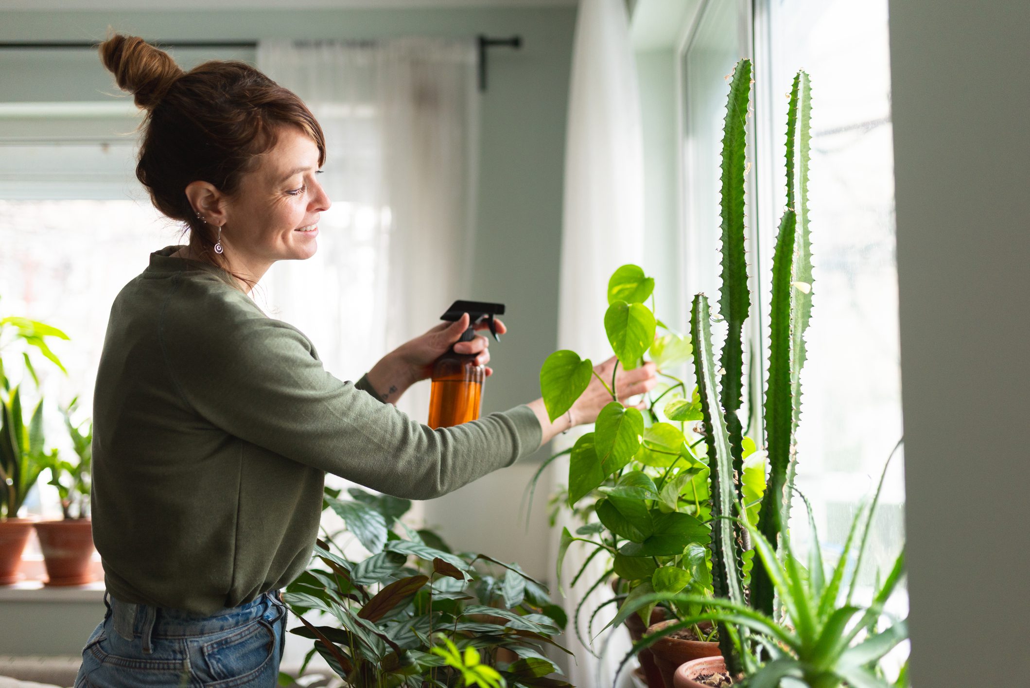 Woman watering indoor plants by window.
