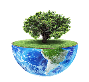 Tree growing on half of the Earth.