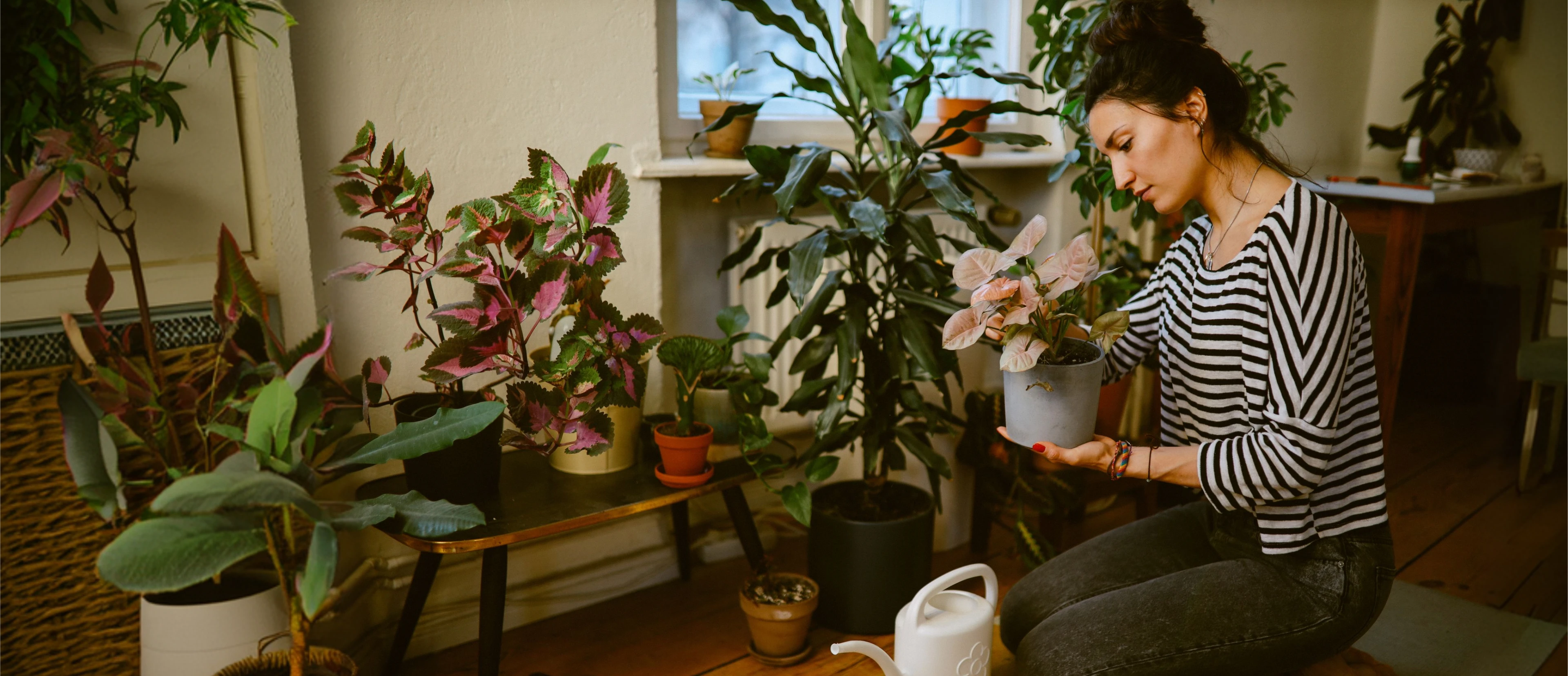 Woman tending to indoor potted plants.