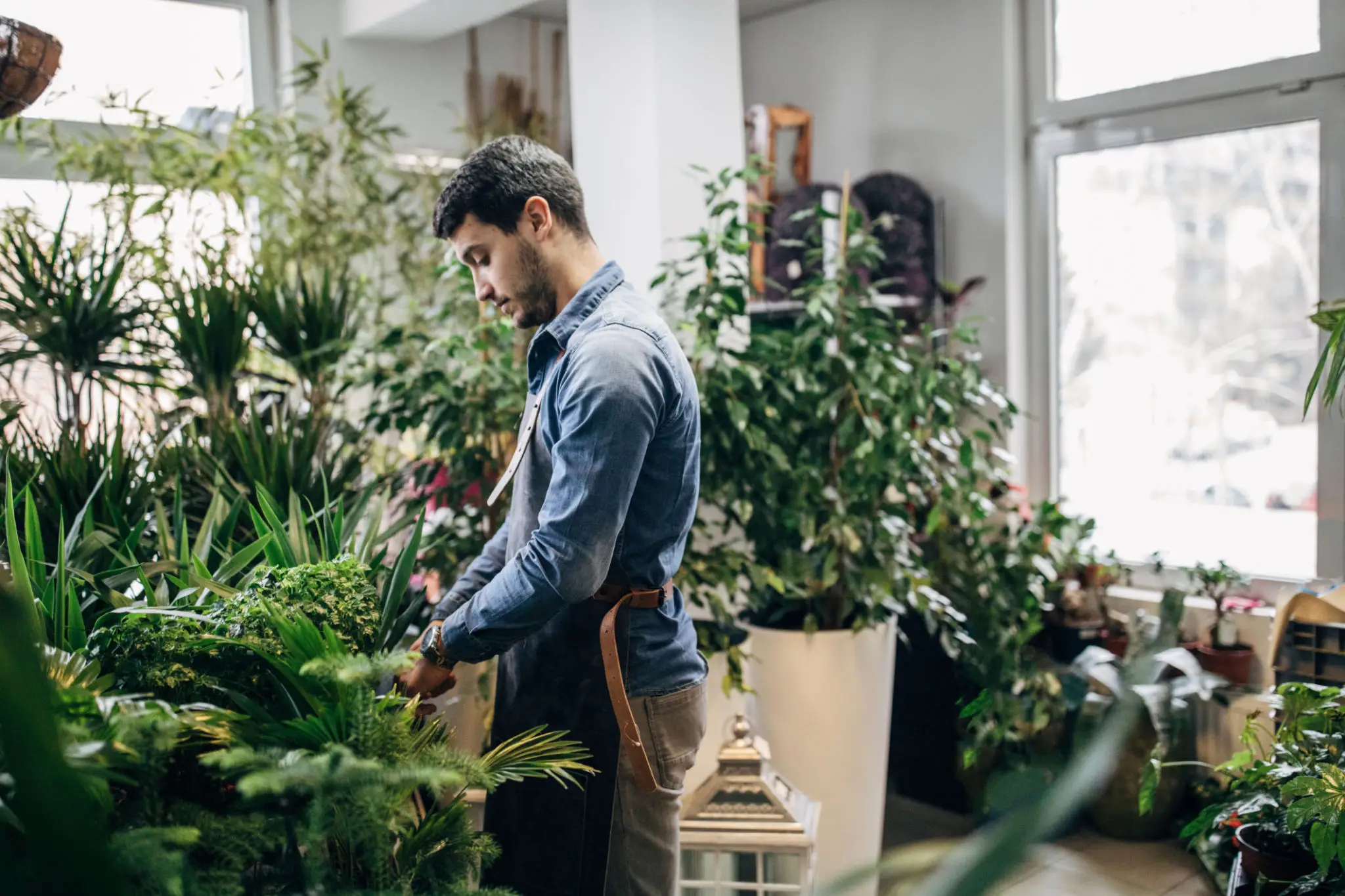 Man tending plants in indoor plant shop