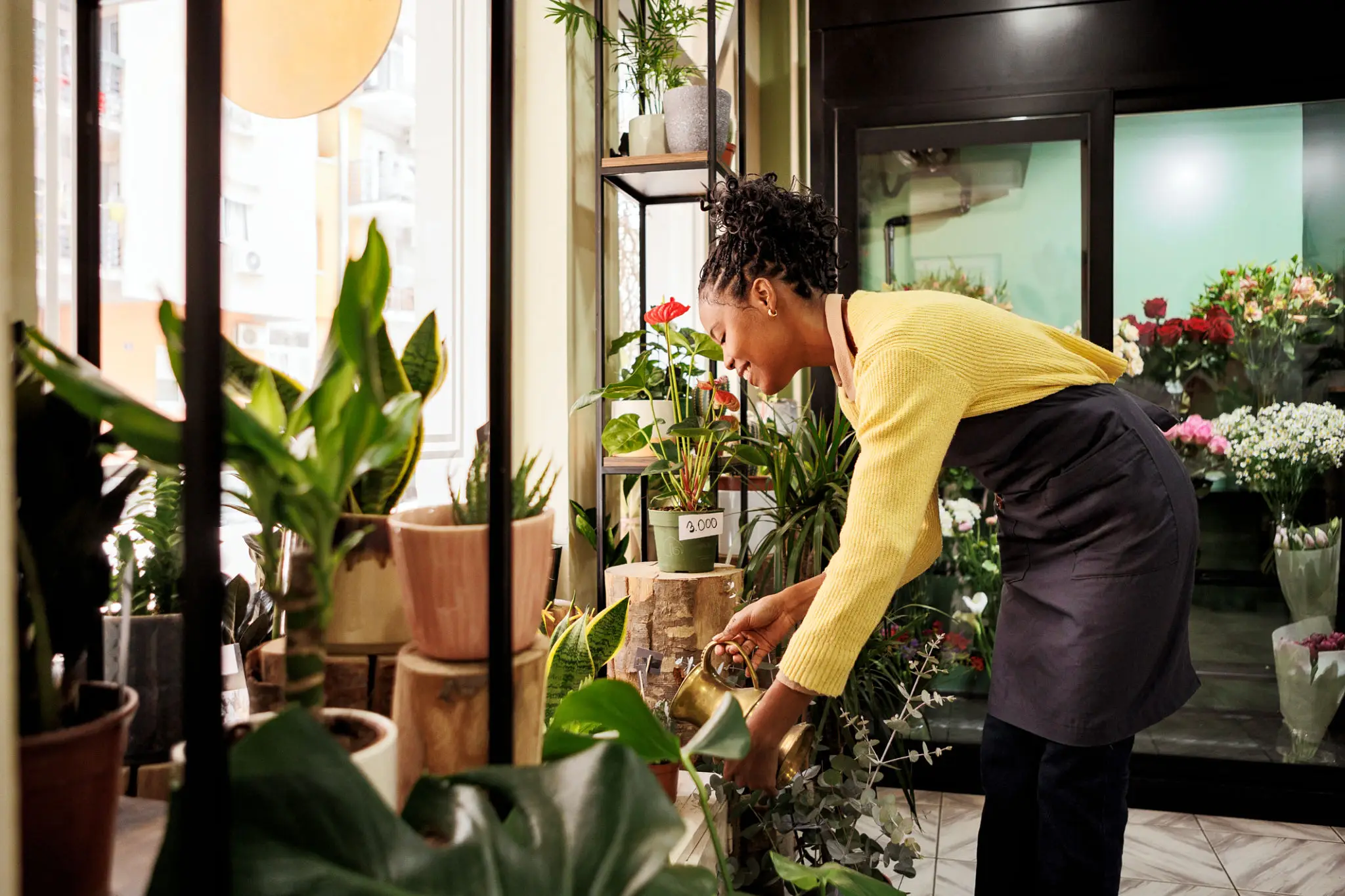 Florist arranging potted plants in shop