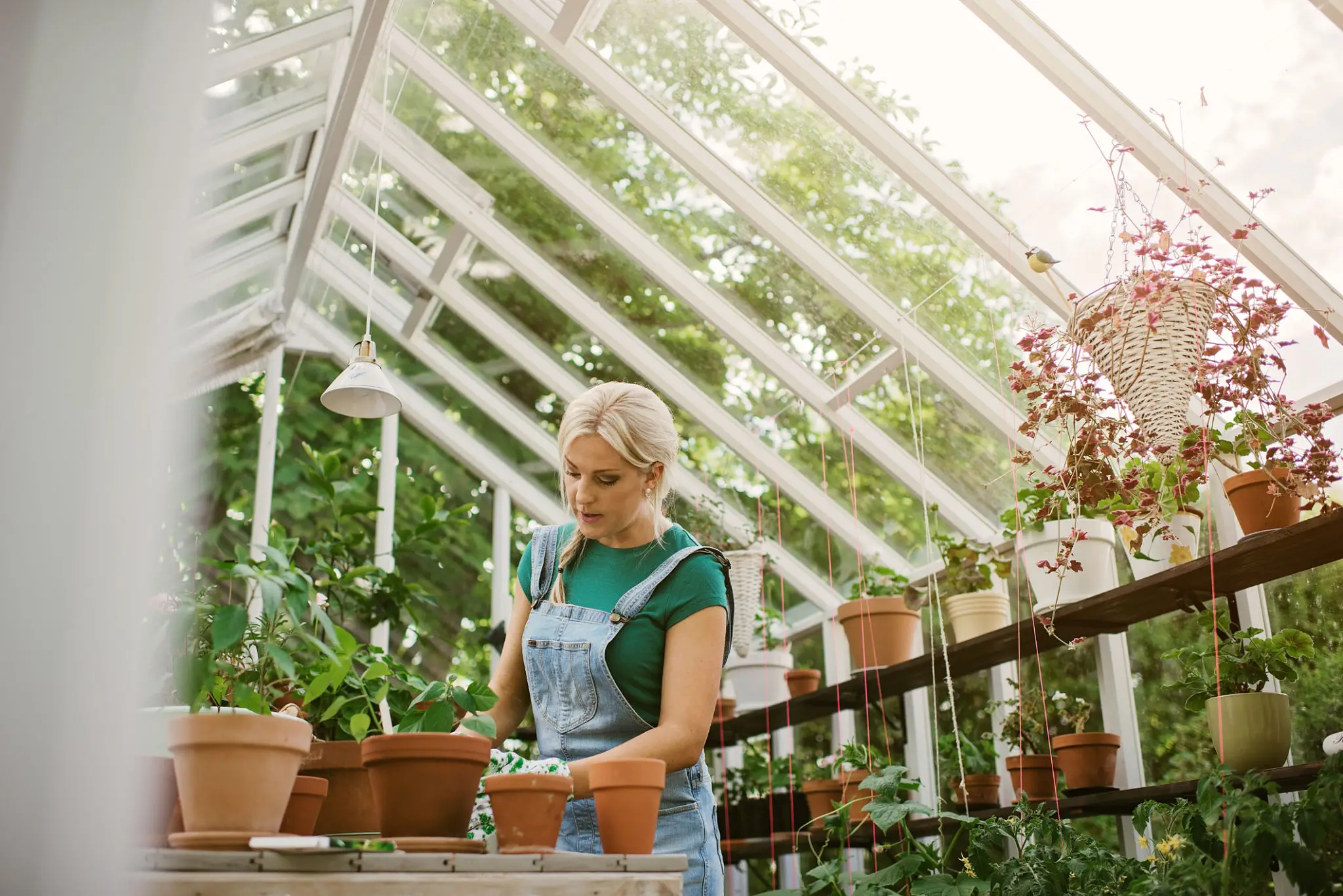 Woman potting plants inside a bright greenhouse